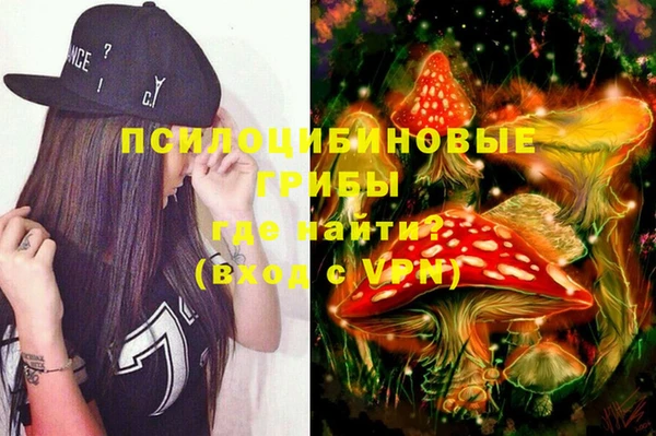 тгк Алзамай