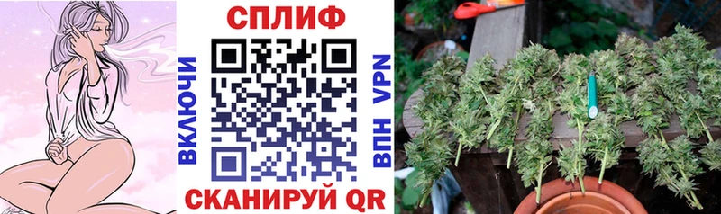 Канабис конопля  Курск 